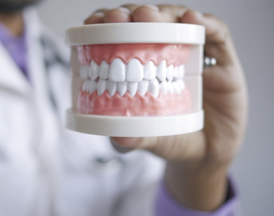 Naturopathe à Fouesnant expliquant les règles d'or de la santé digestive et de la mastication.
